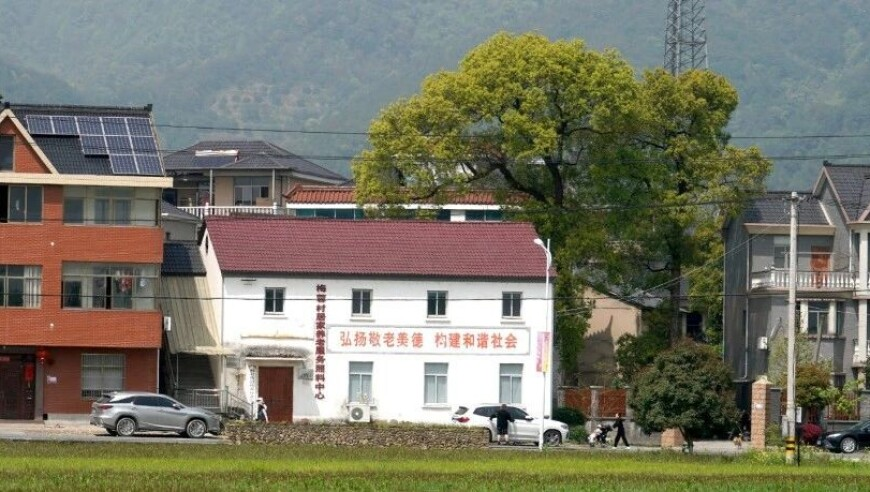 AI成农村补贴速领神器,4949澳门开奖免费大全,全面解答解释落实_社交版V10.19