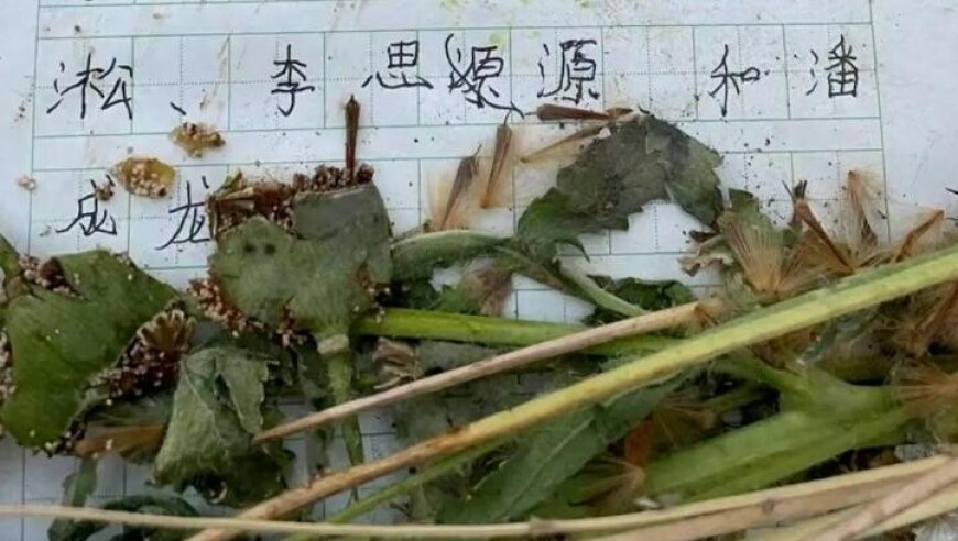 燕云河西最刀的彩蛋,澳门水果奶奶免费资料论坛,精准解释落实的人生哲理_潮流版V14.46