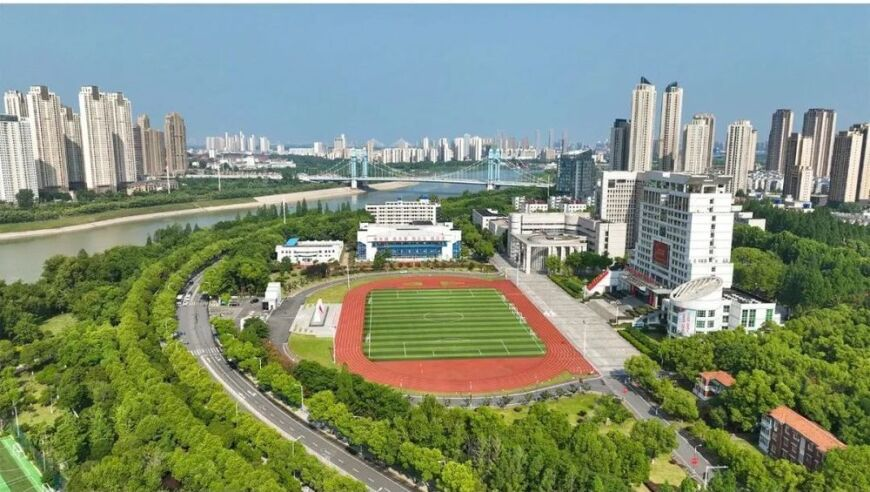 曾道正版资料免费大全2017,比亚迪市值一天暴增800亿元,作答解释落实的民间信仰_高级版V5.94